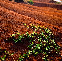 跳过次世代更新 《辐射4》降级MOD下载量激增